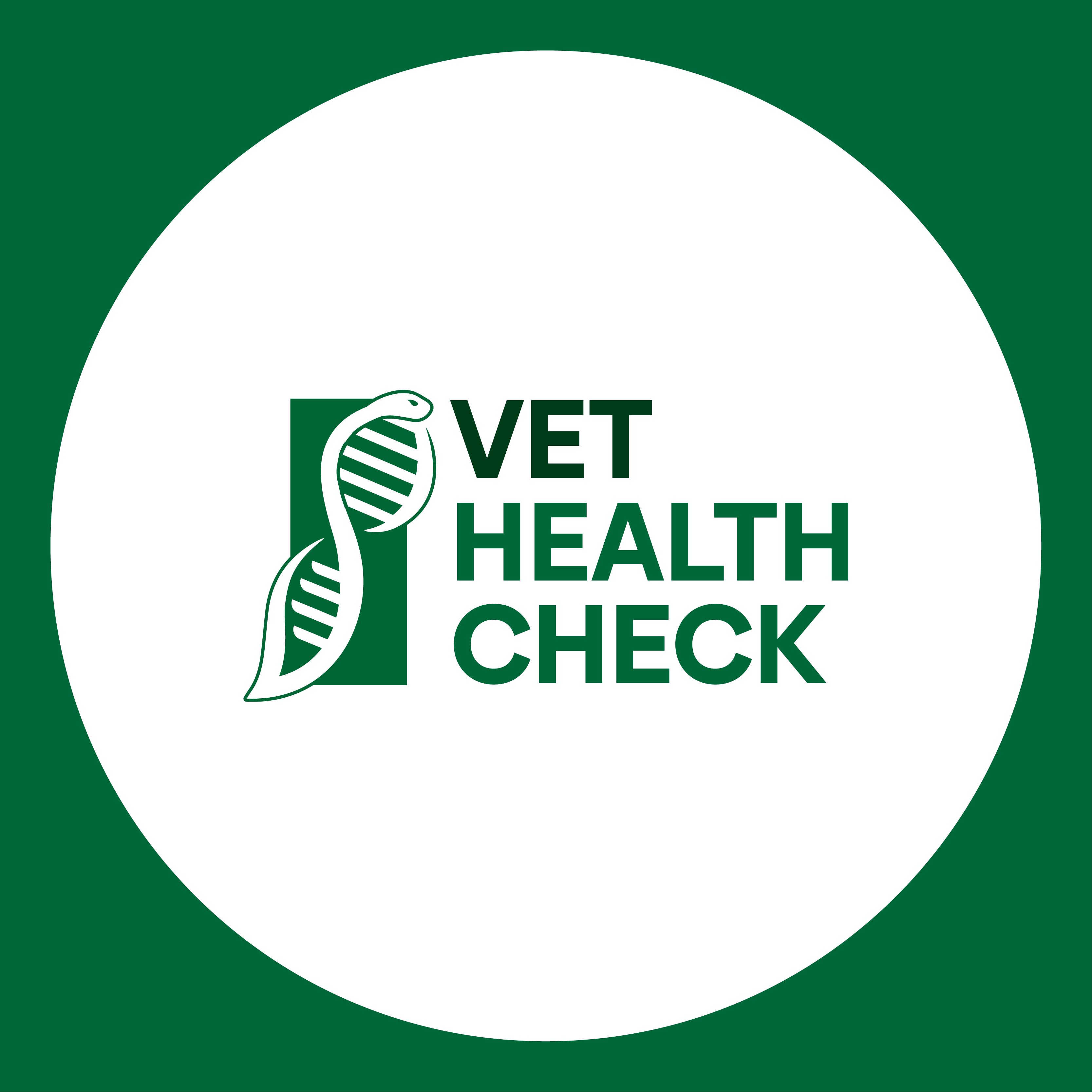 Prof. Dr. Anton Eisenhauer